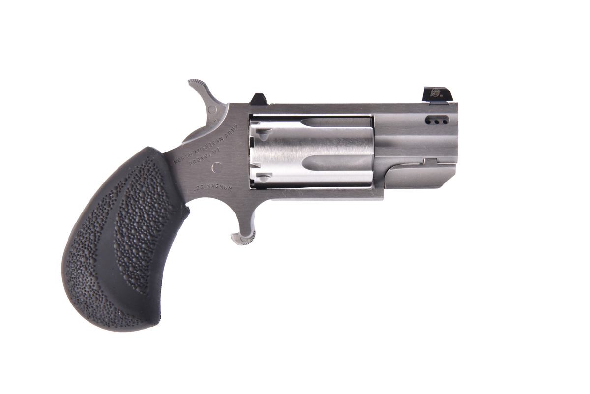 NAA Pug 22 Mag/22 LR Revolver with Ported Barrel and Tritium Night ...